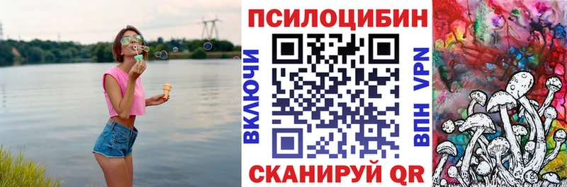 Псилоцибиновые грибы Psilocybe Пикалёво